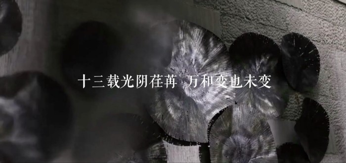 远洋集团万和城品牌片